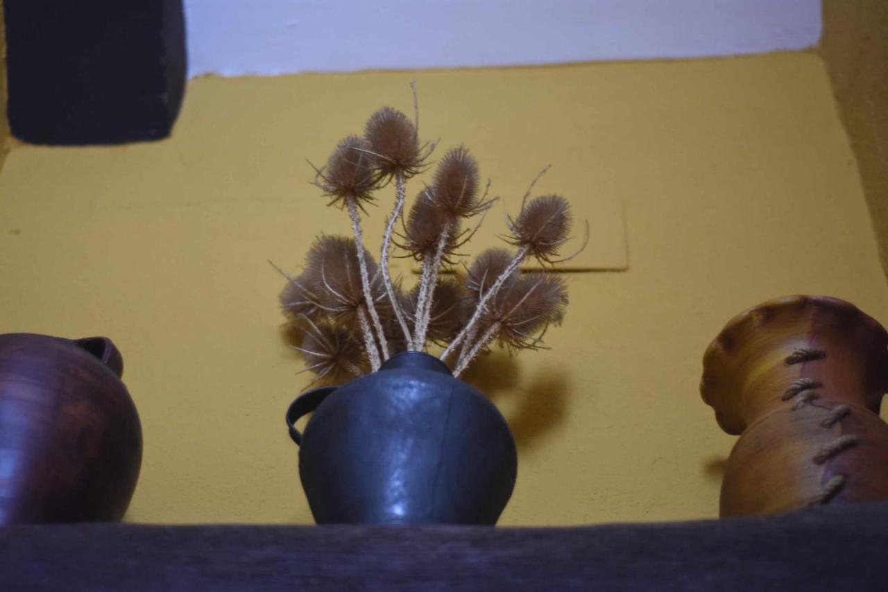 Casa Rural De Estilo Rustico Con Spa Almagro Luaran gambar